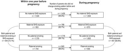 Parental smoking exposure before and during pregnancy and offspring attention-deficit/hyperactivity disorder risk: A Chinese child and adolescent cohort study